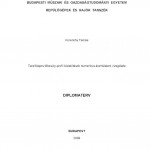 Diplomaterv_Korenchy Tamás_Page_01_01